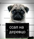 Фотография Алексей Егоров