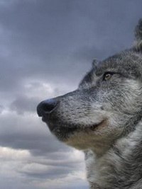 Lavanda Lavanda | Москва