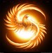 Phoenix Auto фотография #2