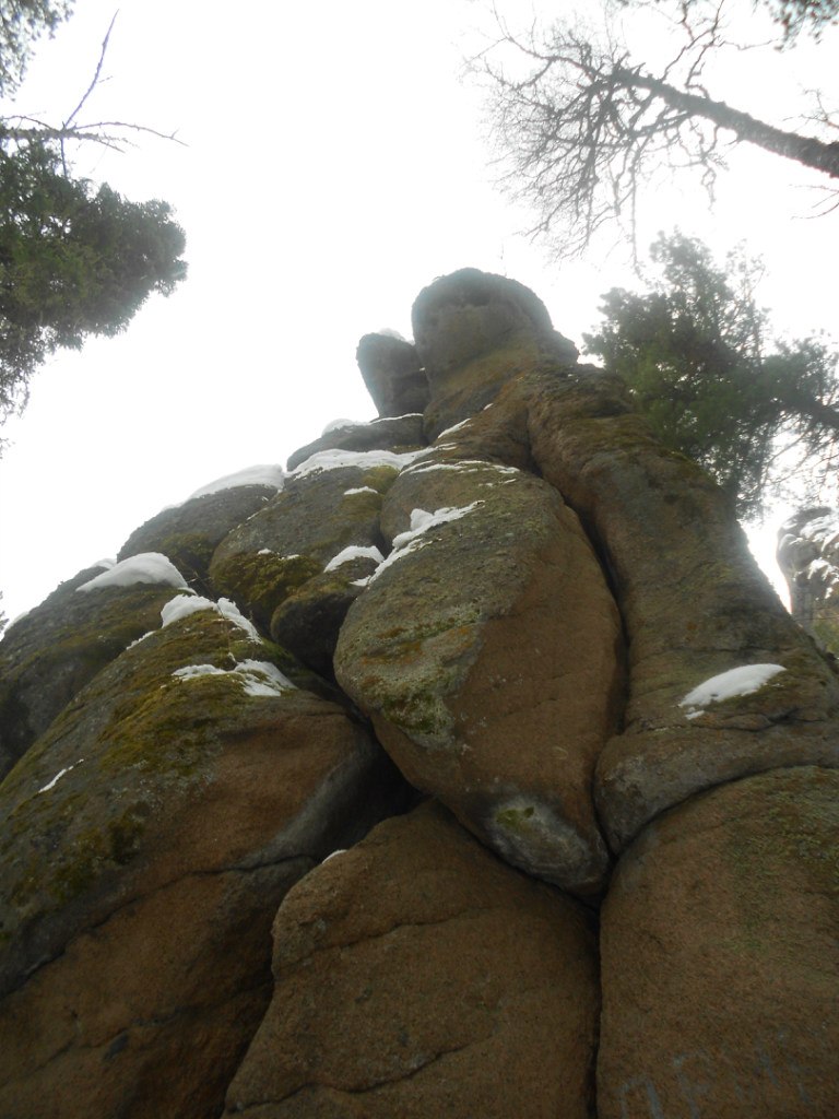 Дарья Новикова | Красноярск