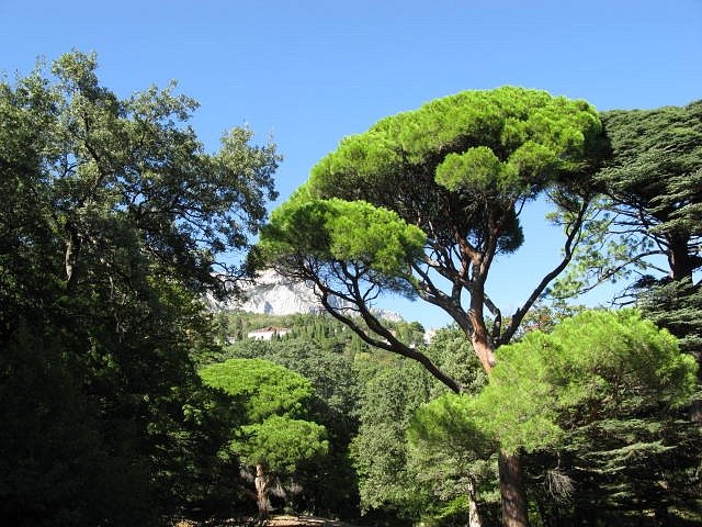 Елена Белькова | Архангельск