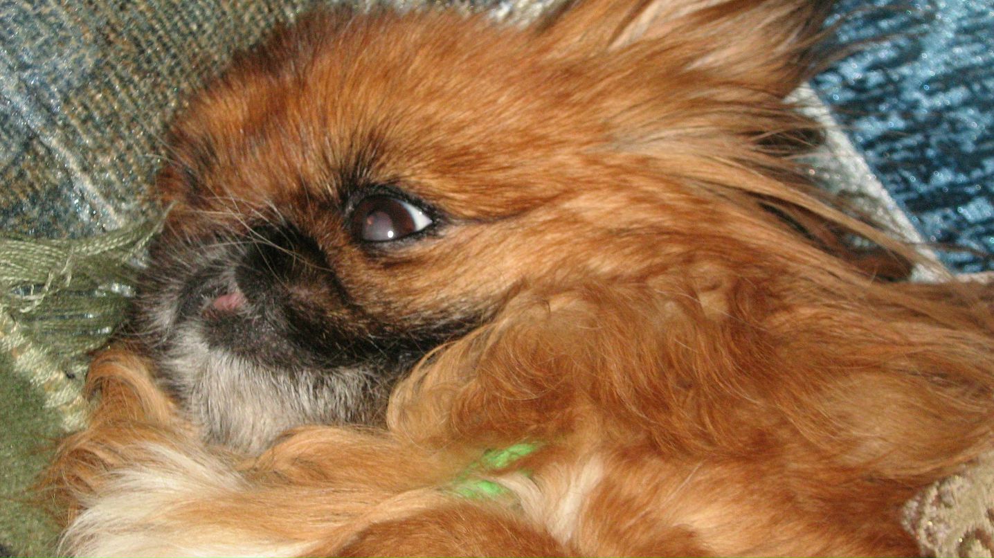 Андрей Урбан | Санкт-Петербург