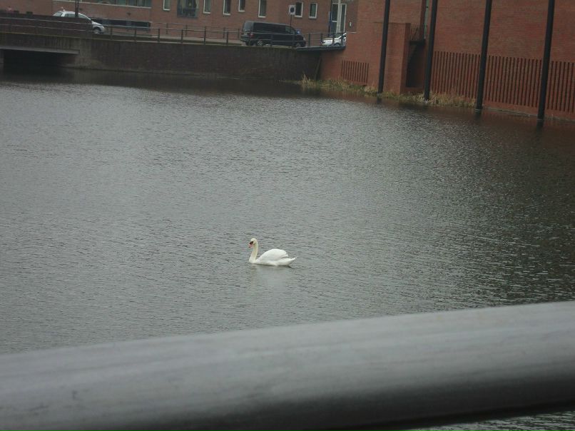 Тома Кудимова | Москва