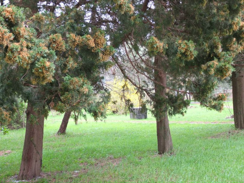 Константин Шевляков Владимирович | Москва