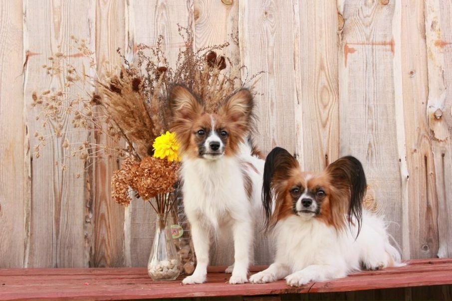 №92, Ольга Жукова, Нижний Новгород, Россия №92, Ольга Жукова, Нижний Новгород, Россия