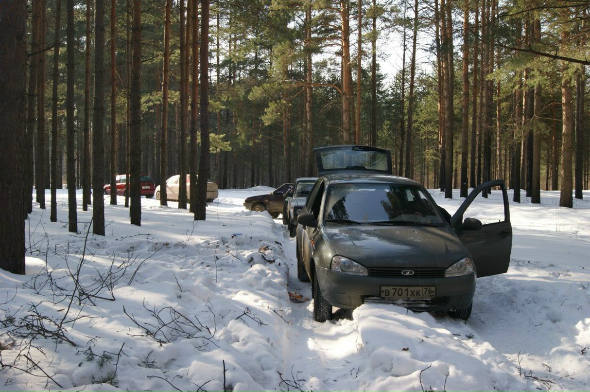 Алексей Константинов Стрелец | Ярославль