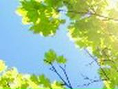 Настя Доморацкая | Новодвинск