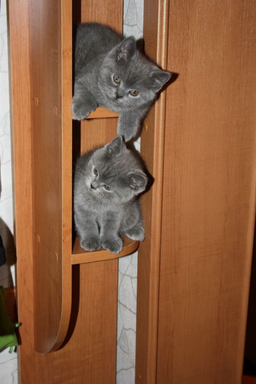 Александра Морозова | Кондопога