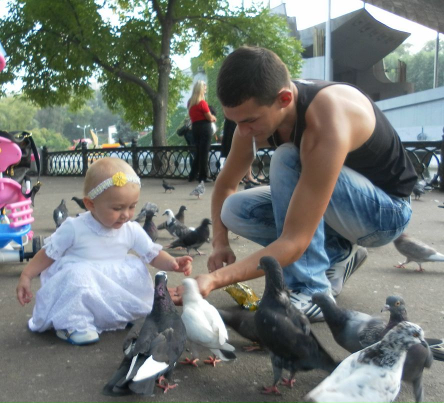 Андрей Шевелёв | 