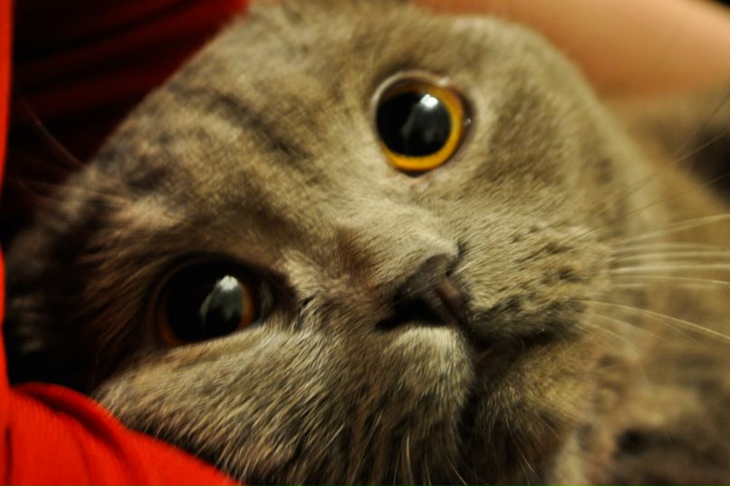 Татьяна Миненко | Кривой Рог