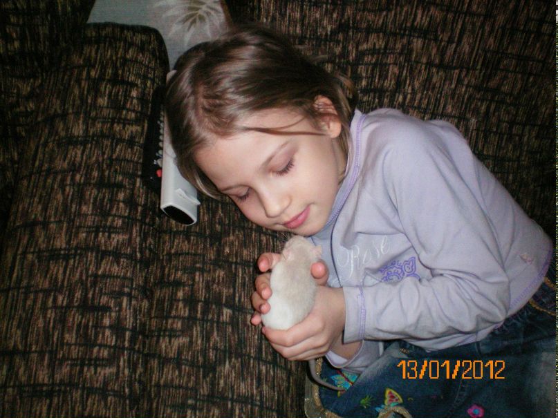 Сергей Павлов | Боровичи