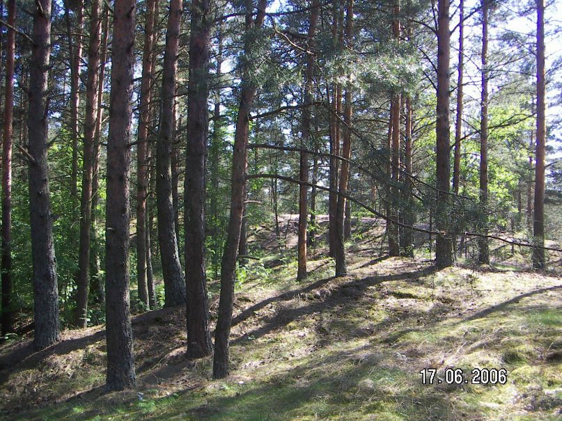 Пара Питер | Санкт-Петербург