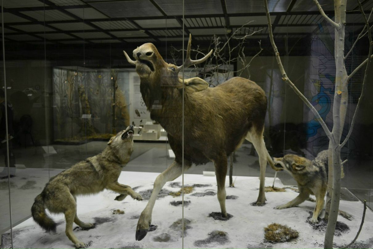 Евгений Байдала ☭★★★☭ | Москва