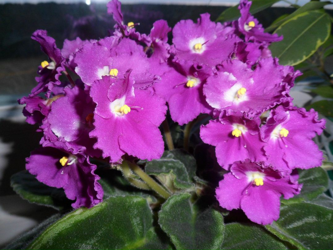 Наташа Михалькевич | Лида