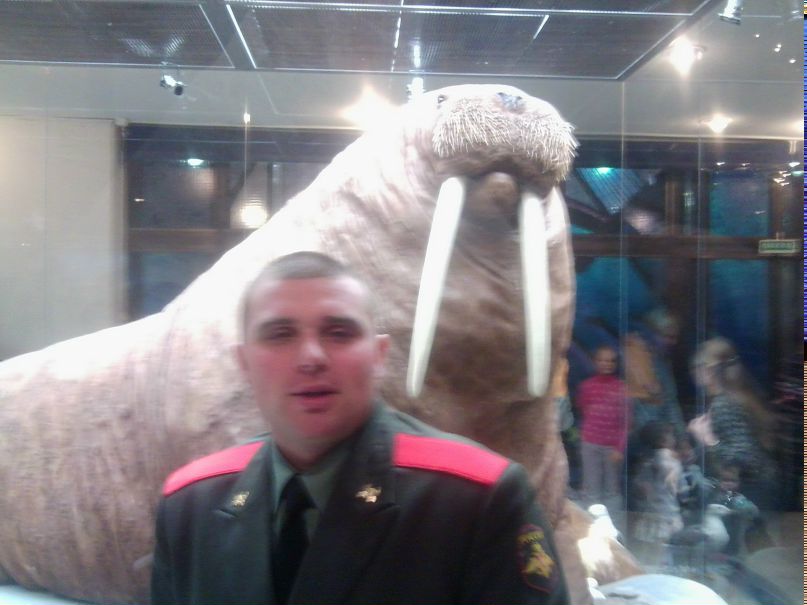 Александр Аристов | Кострома