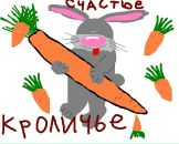 №29 Любовь Шавуль : профиль, фото, статус - ВКонтакте