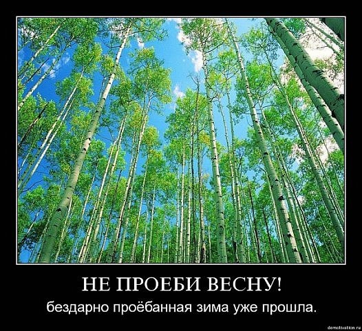 №55, Наталия Гончарова, 34 года, Санкт-Петербург №55, Наталия Гончарова, 34 года, Санкт-Петербург