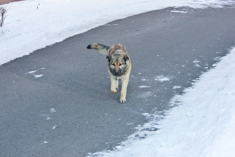 Кирилл Мамыч SOUND-MASTER | Магнитогорск