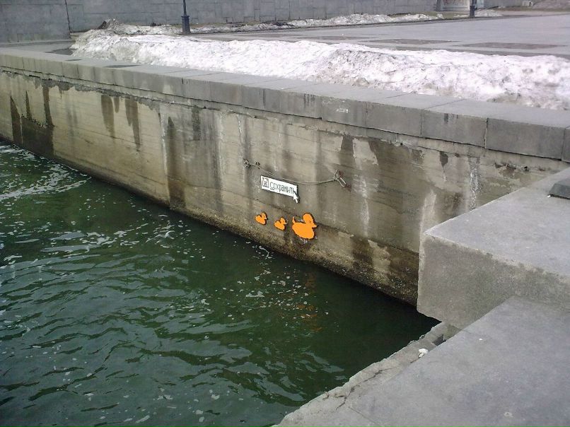 Чёань Анчоус | 