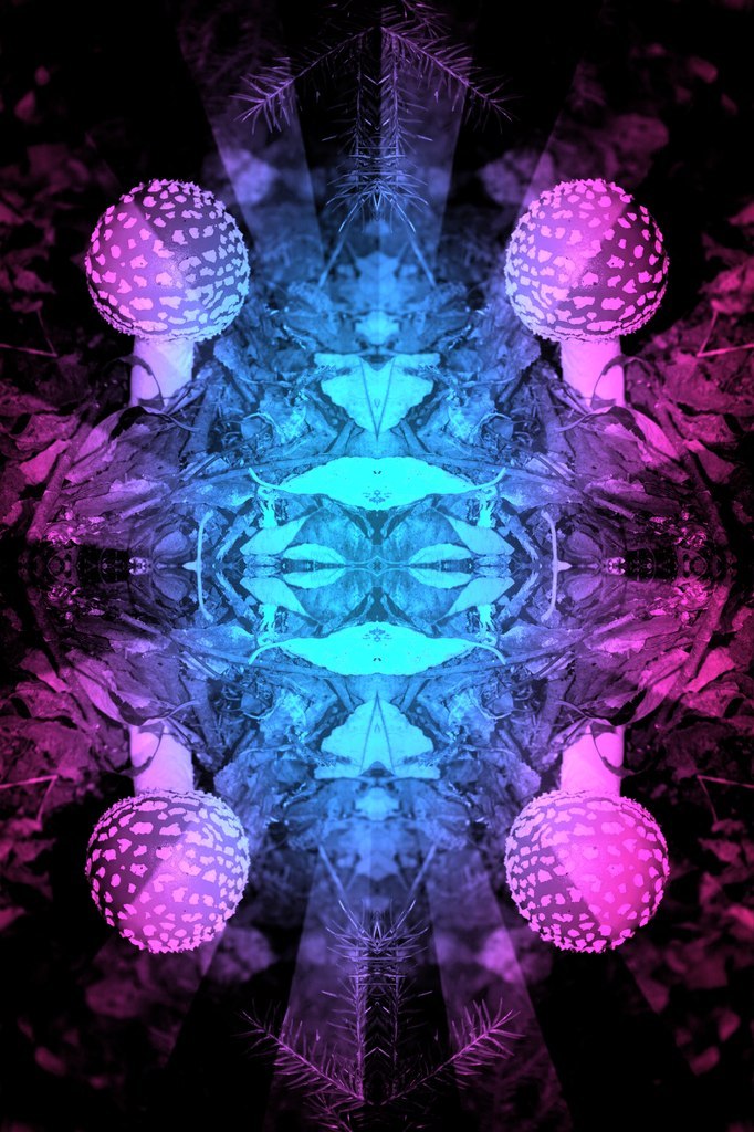 Christy Myers | Екатеринбург