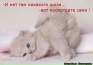 №9 Екатерина Сарычева 25.10: профиль, фото, статус - ВКонтакте