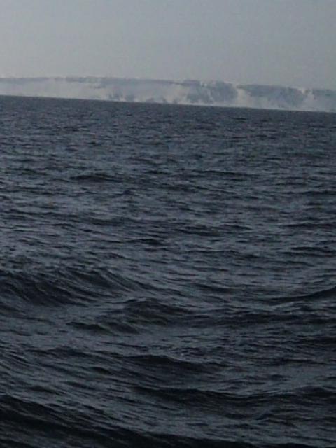 Макс Баранов | 