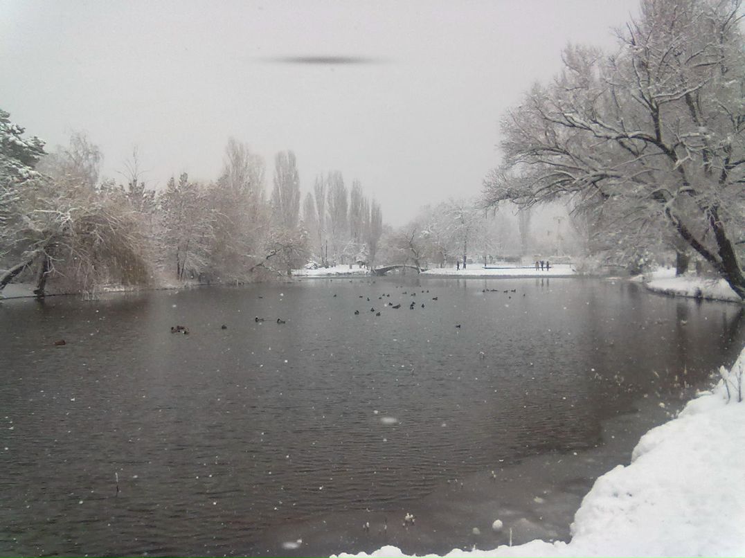 Тохич Басюк | Ялта