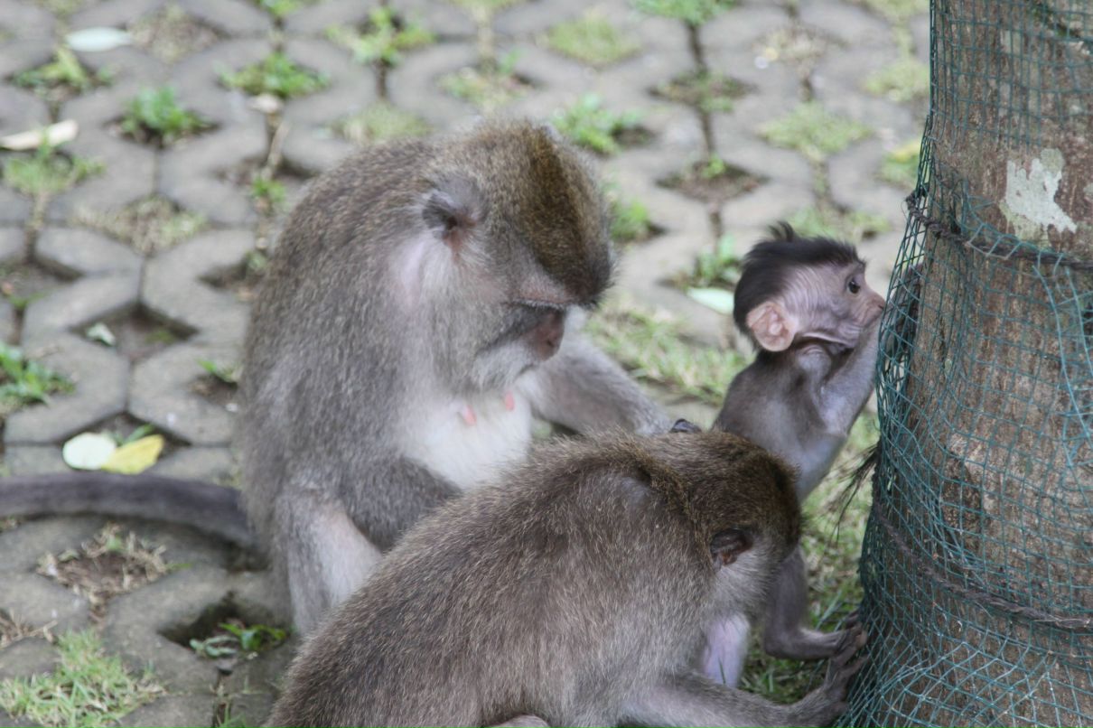 Любаша Солдатова | Москва