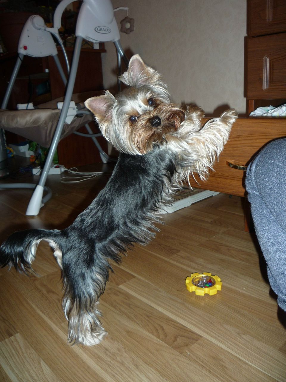 Евгения Ермачкова | Москва