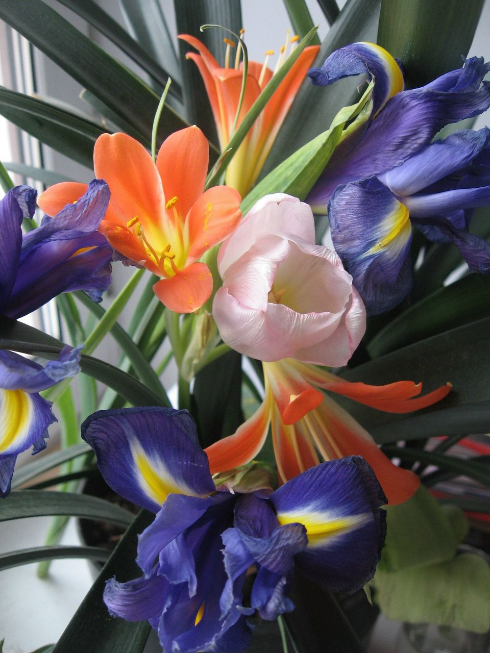 Ирина Фишер | Санкт-Петербург