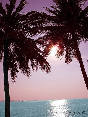 Мариша Опанюк | Одесса