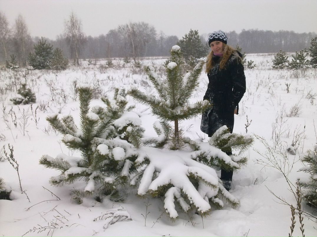 Алла Каран | Марьяновка