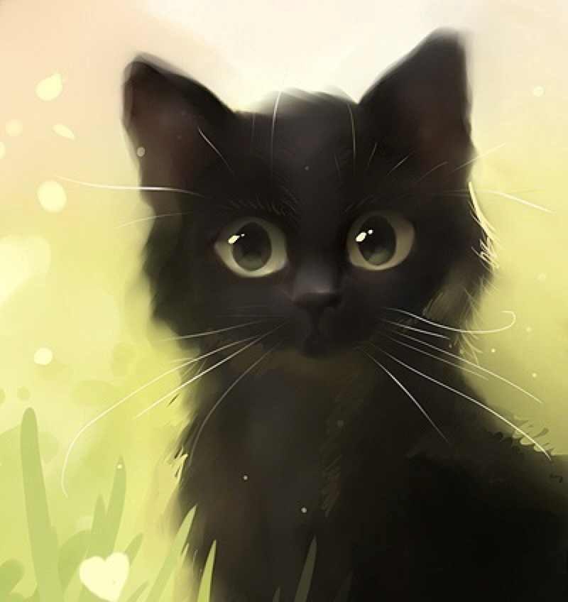 Наталия Карданова wHisKy&cola | Краснодар