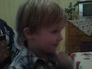 Светлана Балашова | Борок