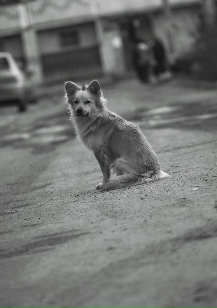 №73, Дима, 47 лет, Луга №73, Дима, 47 лет, Луга