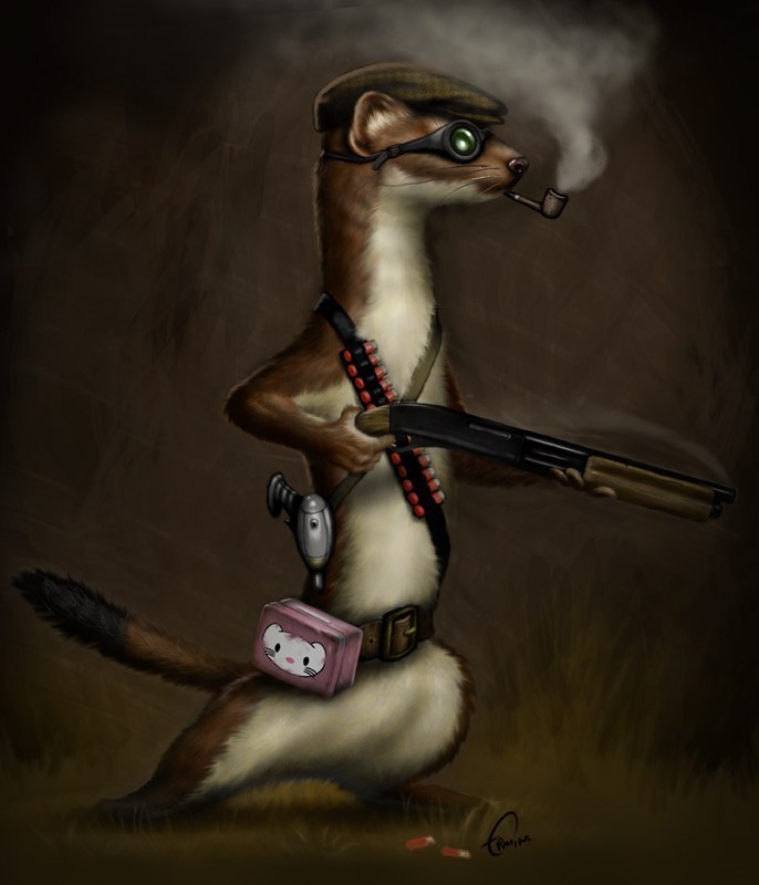 Шамиль Магомедов | Волгодонск