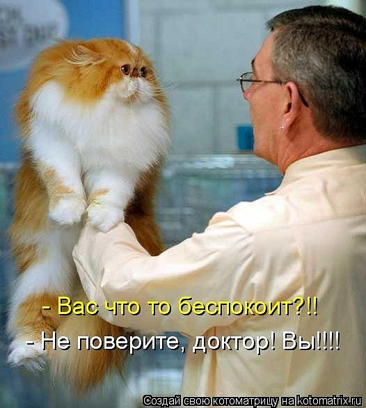 Антон Полтавець | 