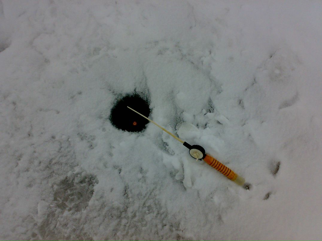 Ярослав Жадан | 