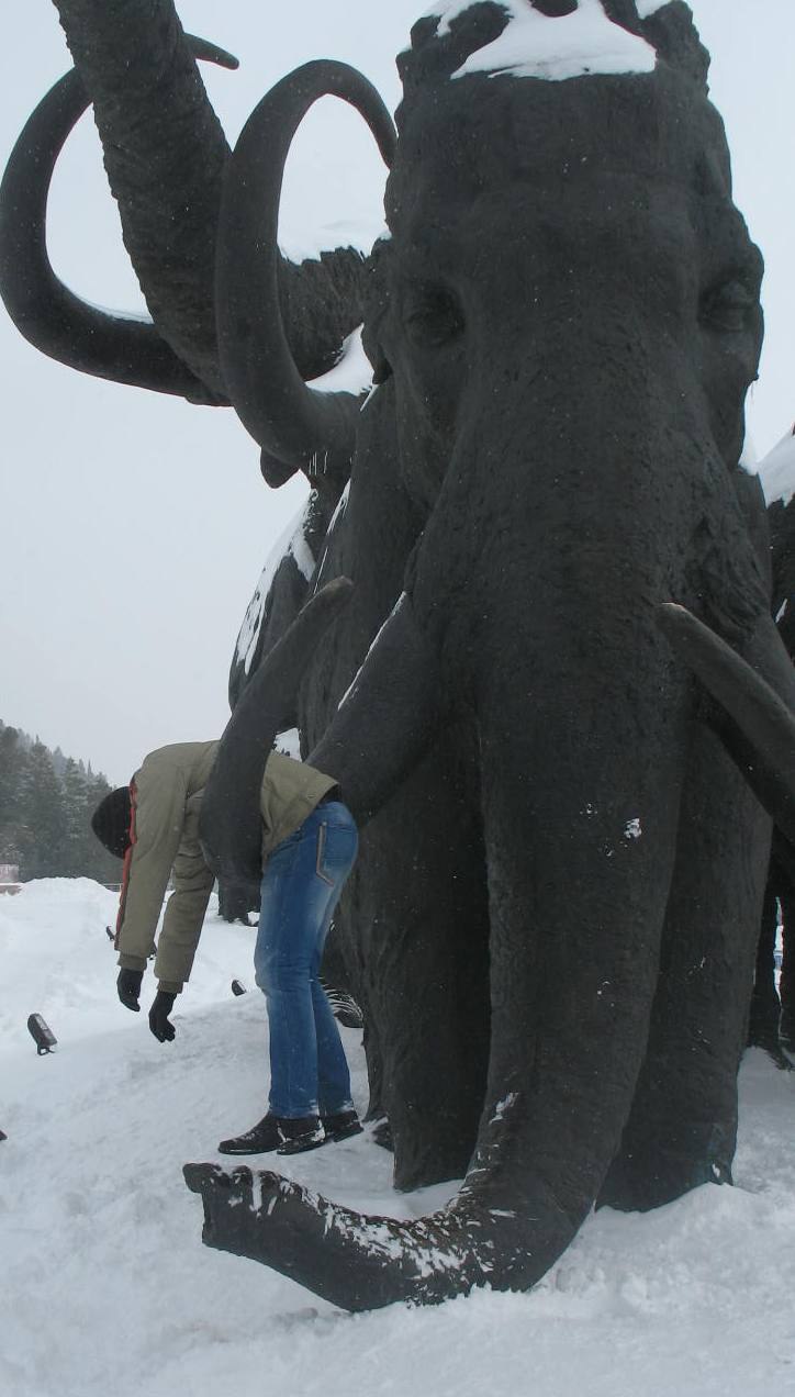 Владимир Герасимов | Челябинск