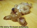 №29 Ольга Кондранина-Горькова 10.06: профиль, фото, статус - ВКонтакте