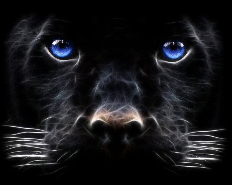 Сергей Яковлев | Тюмень