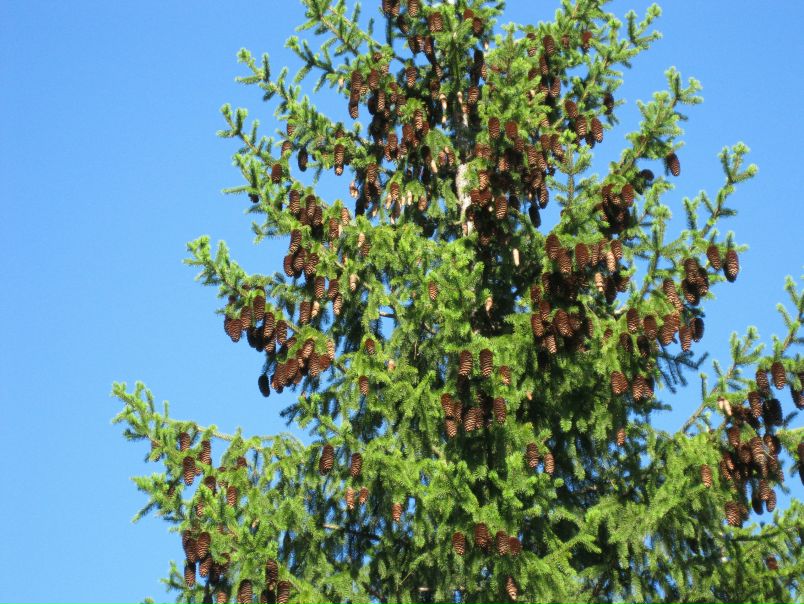 №54, Михаил Пронин, Уфа №54, Михаил Пронин, Уфа