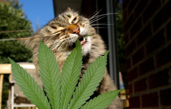 Саня Смотрицкий | Ужгород