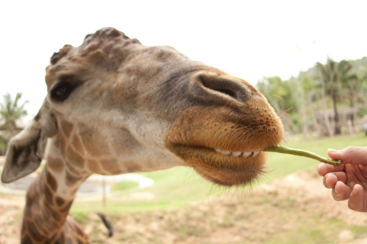 Александр Орлов | Владивосток