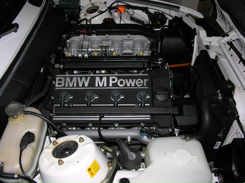 Ринат Мандыбура | Ялта