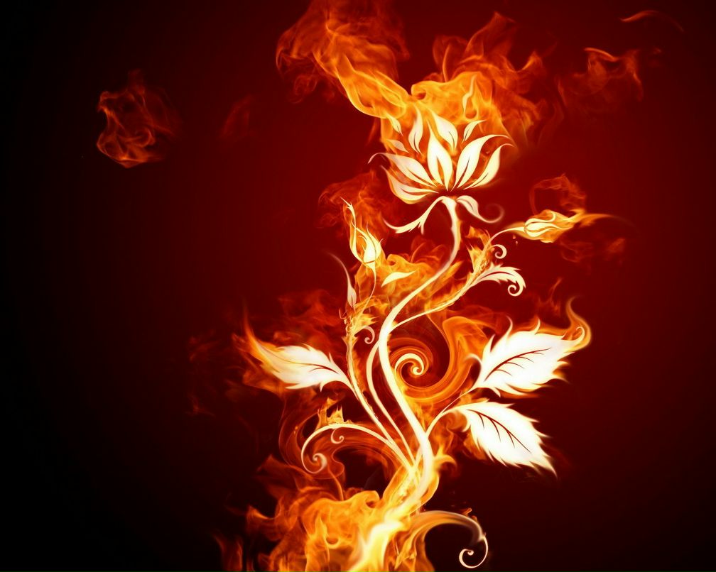 Галина Куней | Петрозаводск