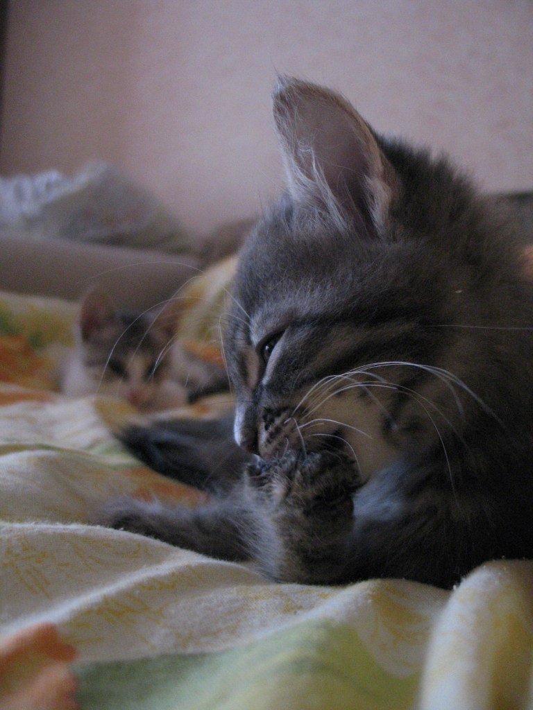 Irina Novik | Санкт-Петербург