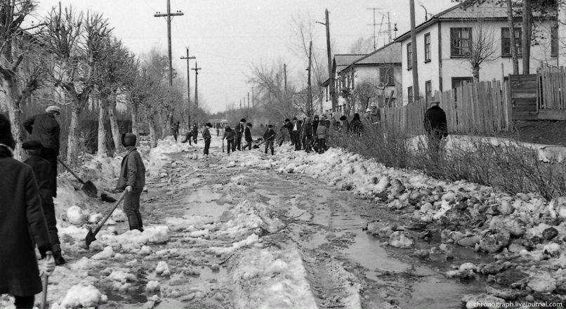 Николай Звягинцев | Санкт-Петербург