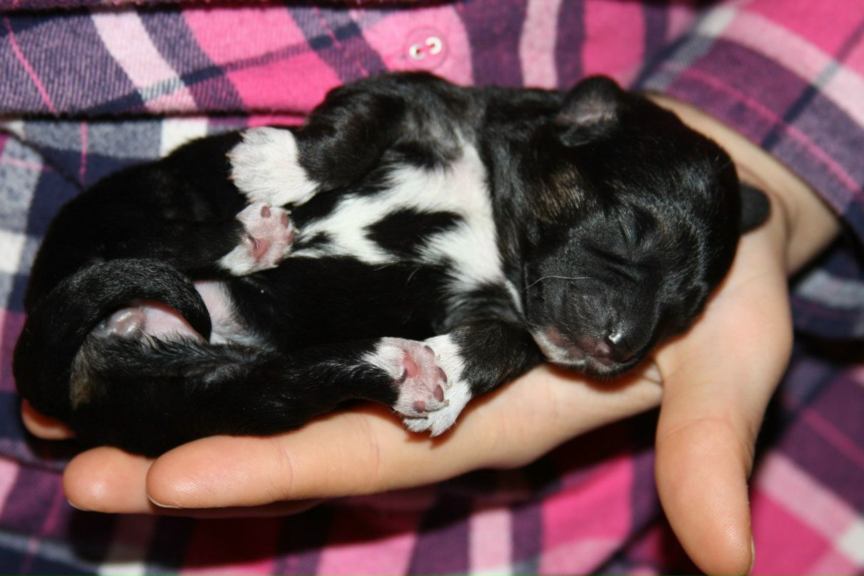 Маргарита Надыршина | Санкт-Петербург