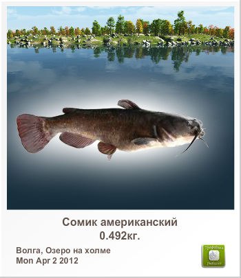 Антон Инкогнито இ ♥קƹ®Ϛ♥ईツ | Ярославль